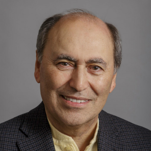 Mikhail Kopelman